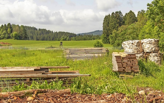 Die bisher landwirtschaftlich genutzte...elt werden. Dort wurde  Holz gelagert.  | Foto: Wilfried Dieckmann