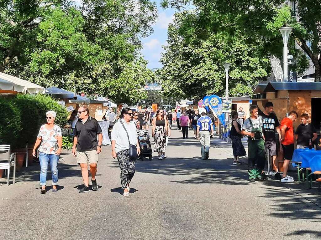 Viel Musik und noch mehr Spa: Der erste Abend des 3-Lnder-Stadt-Festivals in Weil am Rhein ist ein groer Erfolg.