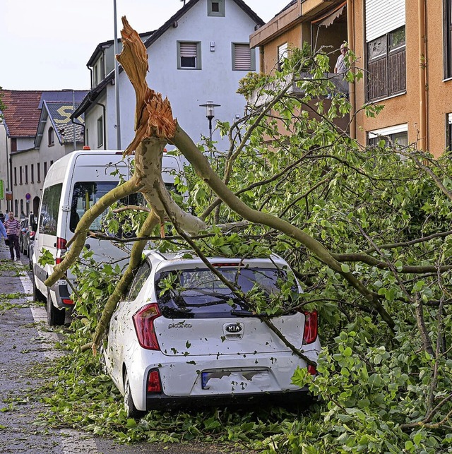   | Foto: Jonas Kieling (dpa)