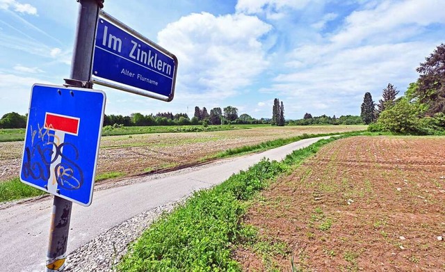 Auf dem Weg zum Baugebiet Zinklern ist...mlegungsverfahren der nchste Schritt.  | Foto: Michael Bamberger