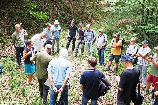Waldbegehung in Kenzingen: Der Wald als Wasserspeicher