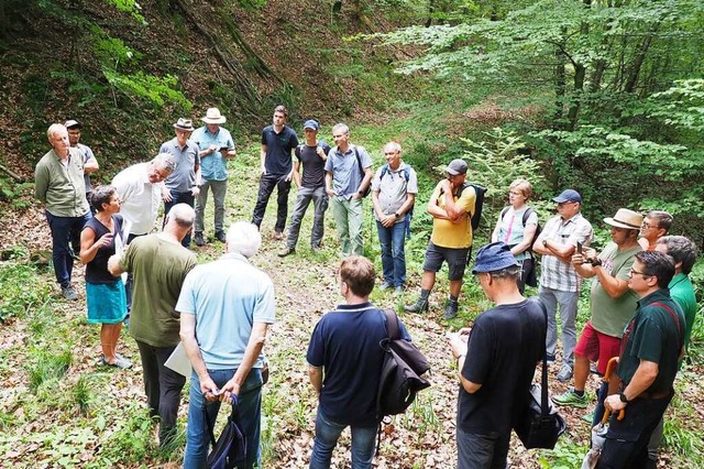 Waldbegehung des Kenzinger Gemeinderat...lutert die Wasserrckhaltung im Wald.  | Foto: Michael Haberer