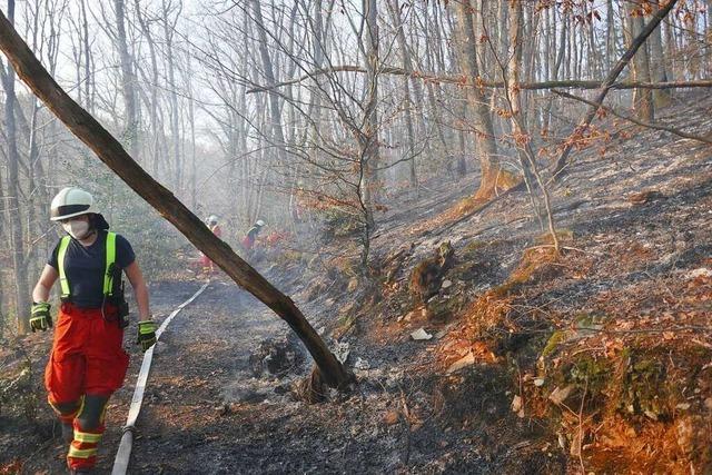 Heißere Sommer und fehlende Hydranten – auch am Hochrhein wächst die Waldbrandgefahr