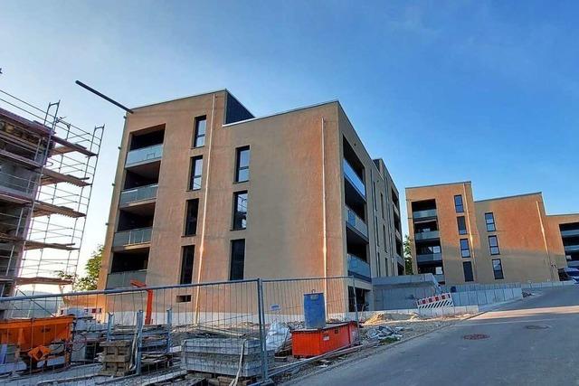 Investition von ber 20 Millionen Euro in Wohnungsbau in Elzach