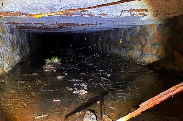 Unschne Entdeckung: Der Bittenbachkanal ist beschdigt.  | Foto: Andreas Happle (Riede Ingenieure)