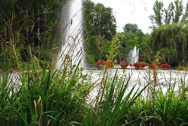 Wie der Kurparkweiher in Bad Bellingen saniert werden soll