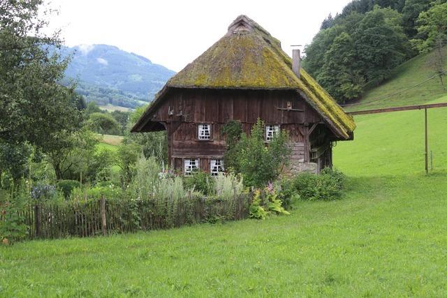 Landwasserhofmhle (Oberprechtal)