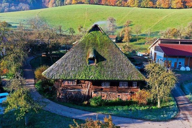 Rettung naht: Der 300 Jahre alte Flammhof in Glottertal soll ein neues Strohdach erhalten