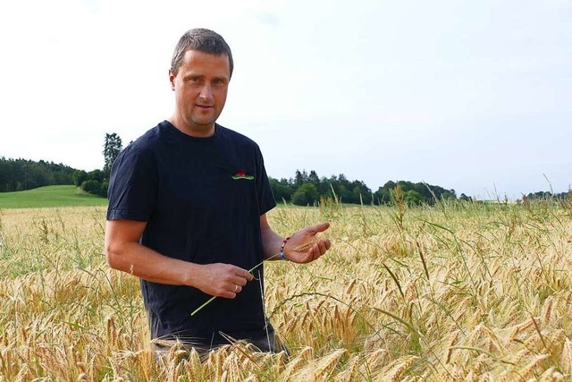 Friederich Bndert steht in einem Feld...er Vorsitzende des BLHV-Stadtverbands.  | Foto: Stefan Limberger-Andris