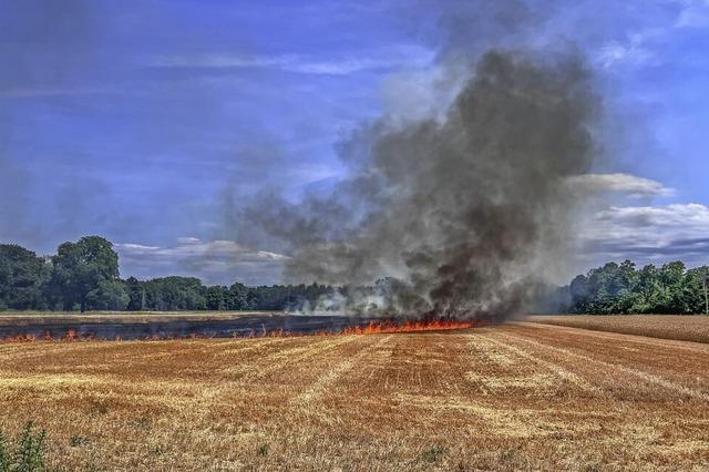 1,2 Hektar Feld in Kehl standen in Flammen