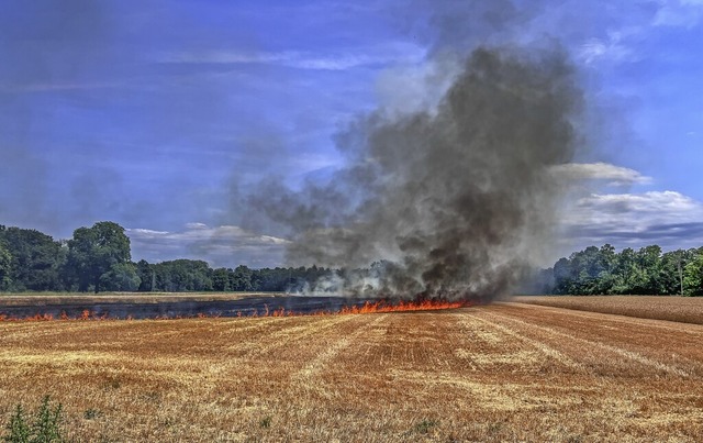 Ein Stoppelfeld bei Leutesheim stand a.... Die Brandursache ist noch ungeklrt.  | Foto: Stadt Kehl