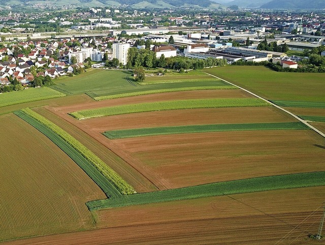 Der Bauplatz des knftigen Groklinikums.  | Foto: Michael Saurer