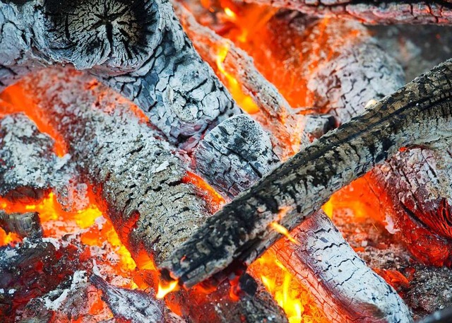 &#8222;Lagerfeuer&#8220; heit das For...ungezwungenem Rahmen ermglichen soll.  | Foto: Patrick Pleul