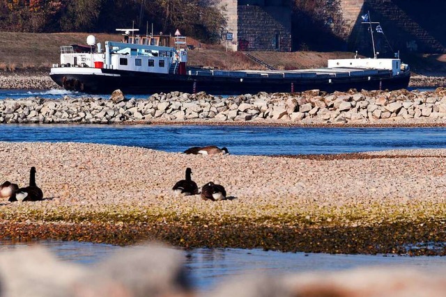 2018 fhrte der Rhein (hier bei Karlsruhe) besonders wenig Wasser.  | Foto: Uli Deck