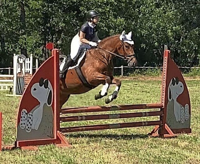 Das Sommerreitturnier der Reitsport- u...sportler und Zuschauer nach Rmmingen.  | Foto: Reitsport-und Pferdefreunde Rmmingen