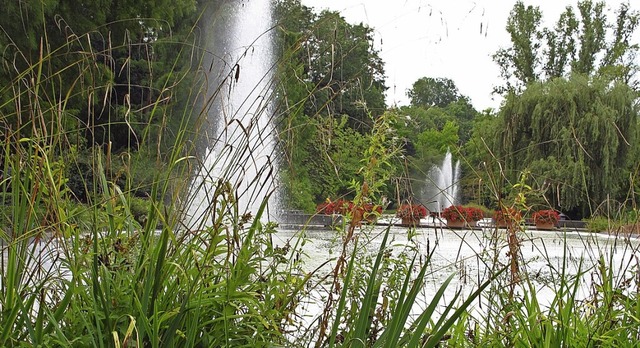 Der derzeit flache Kurparkweiher in Ba...reieinhalb Metern ausgebildet werden.   | Foto: Jutta Schtz