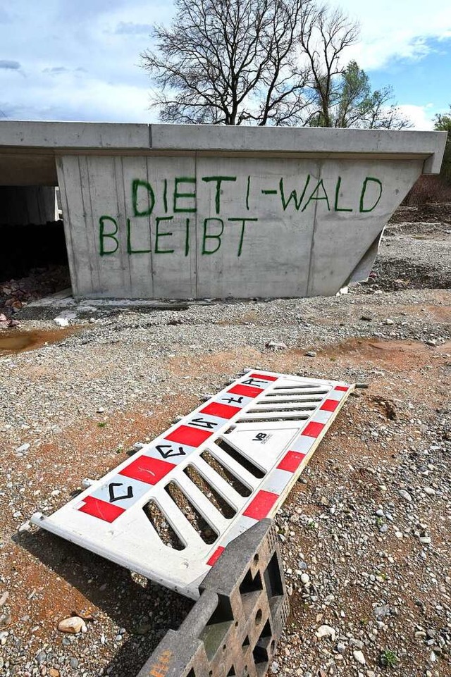 Der Protest gegen die Abholzung des Di... in Freiburg ist in der Stadt prsent.  | Foto: Thomas Kunz