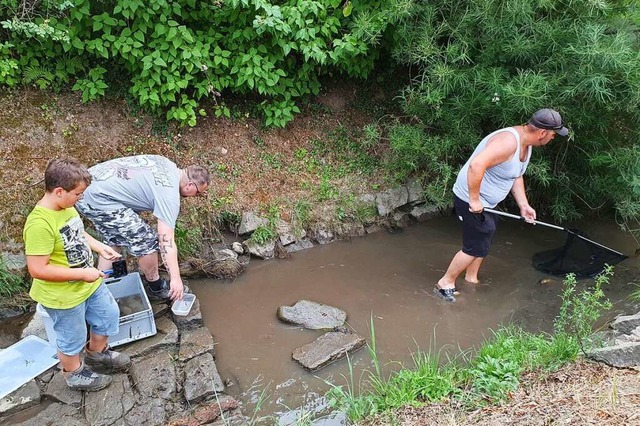 Spontane Fischrettung im trockenen Bach am Castell  | Foto: Hannes Selz