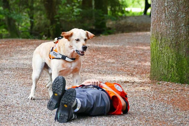 Rettungshund Luke bellt, bis seine Teampartnerin  eintrifft.  | Foto: Lukas Mller