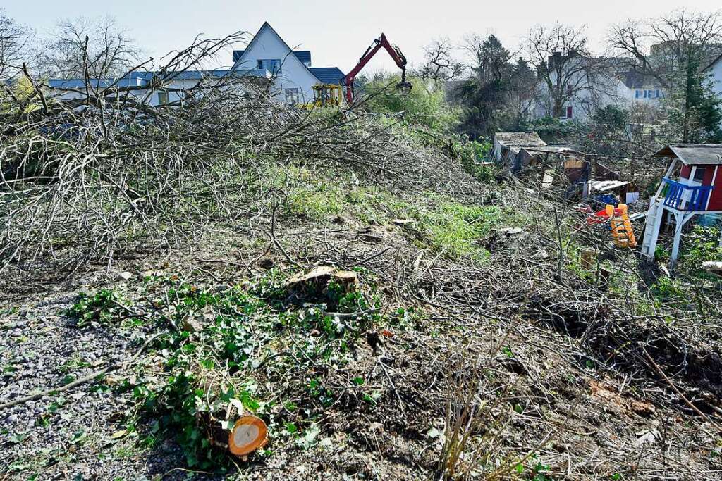 Ein Dokumentarfilm Greift Den Streit Um Den Abriss Und Neubau Des Freiburger Quartiers