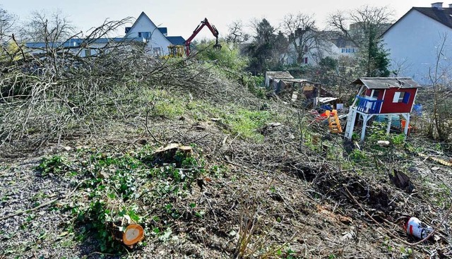 Die Baumfllungen in teils privaten G... Bewohner des Metzgergrns noch heute.  | Foto: Michael Bamberger