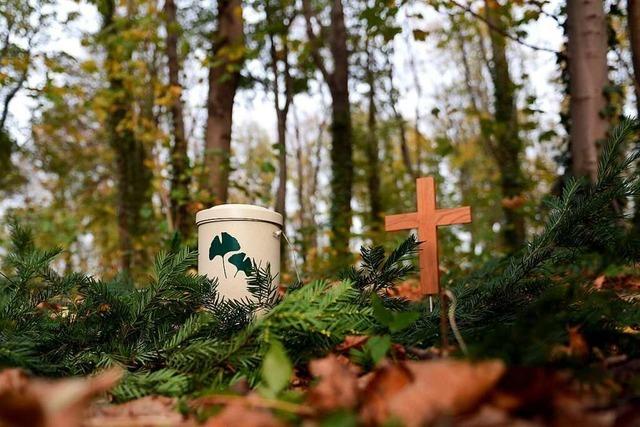 Im Wald die letzte Ruhe finden