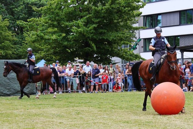 Auch Polizeipferde mgen Ballsport  | Foto: Juliana Eiland-Jung