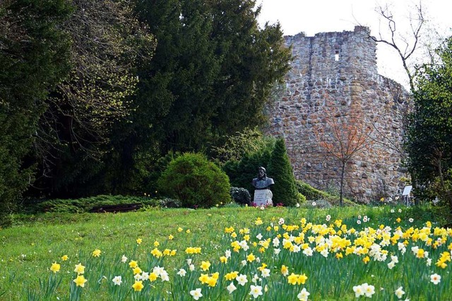 Seit dem 1. Juli kmmern sich die Expe...n Kur- und Schlosspark in Badenweiler.  | Foto: Silke Hartenstein