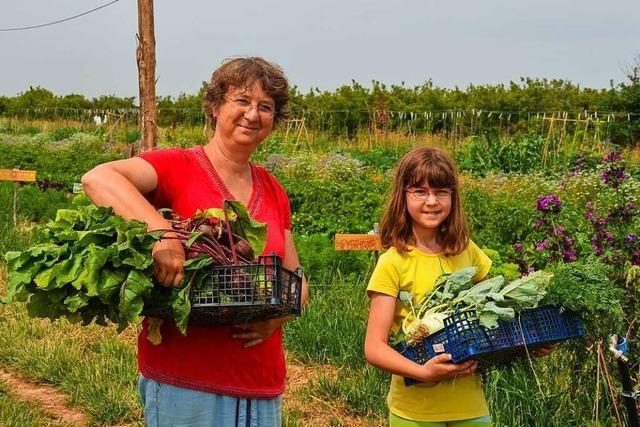 In Mietgärten in Schallstadt den Traum vom eigenen Gemüse erfüllen