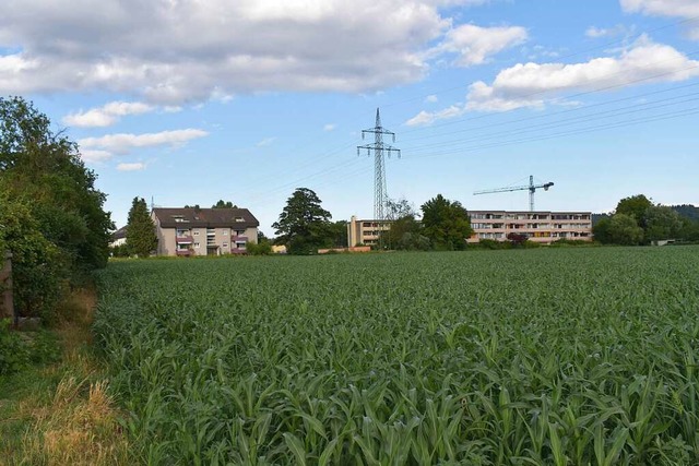 Der Ortschaftsrat hat dem  Ausschreibu... den Gestaltungswettbewerb zugestimmt.  | Foto: Horatio Gollin