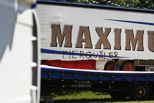 Zirkuswagen in Lörrach aufgeschlitzt: Betreiber fürchtet um seine Existenz