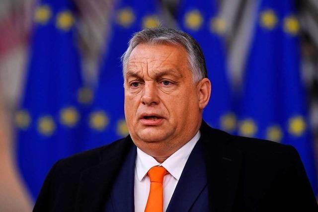 Brüssel ist machtlos gegenüber Polen und Ungarn