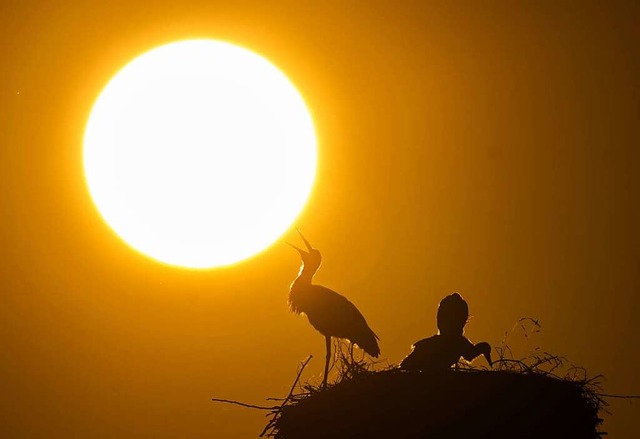 Der Juni 2023 war berdurchschnittlich sonnenreich.  | Foto: Julian Stratenschulte (dpa)