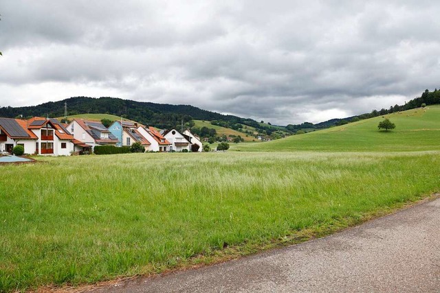 Noch ist nicht passiert auf dem Baugebiet Nadelhof.  | Foto: Hubert Gemmert