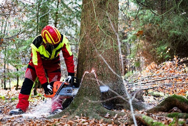 Wer bernimmt die Arbeit im Wald? Mnstertal sucht Ausbilder und Auszubildende.  | Foto: Swen Pfrtner (dpa)