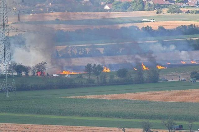 Modellflugzeug löst Flächenbrand bei Müllheim aus