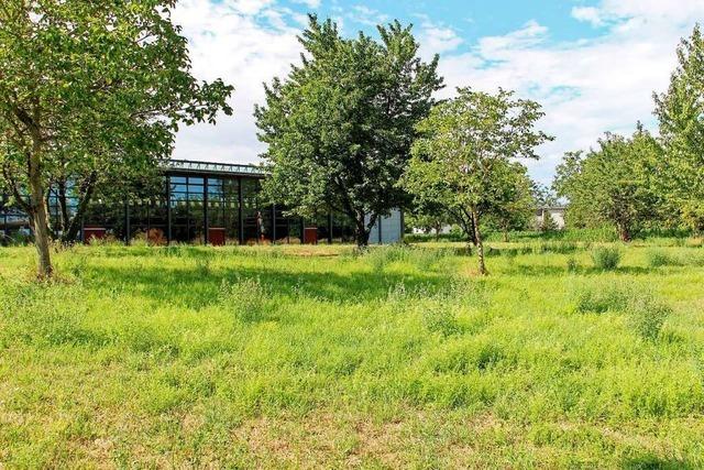 Riegel investiert 1,4 Millionen Euro in Übergangskindergarten, um Rechtsanspruch auf Kita-Platz zu erfüllen