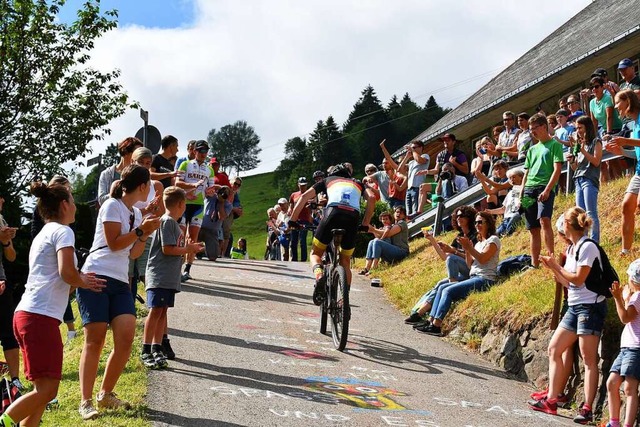 Der Ultra Bike Marathon findet in dies...los geht es am 15. Juli im Dreisamtal.  | Foto: Achim Keller