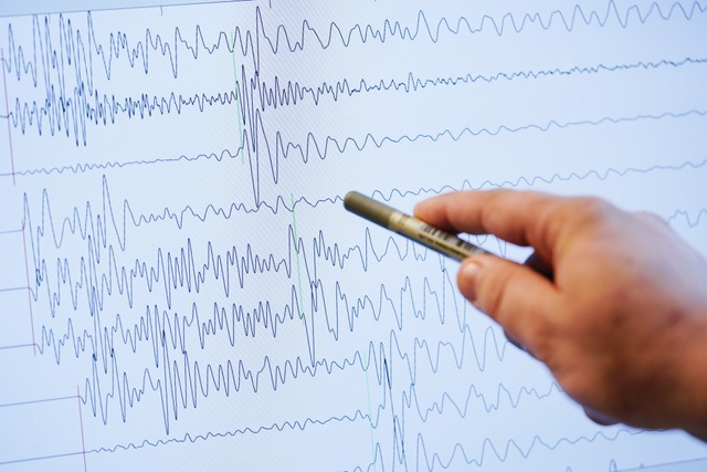 Das Seismogramm einer Messung fr ein Geothermie-Projekt  | Foto: Uwe Anspach