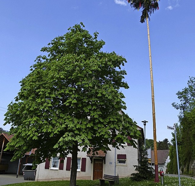 Das Fundament des Maibaums hat der Brauchtumsverein gefertigt.  | Foto: Victoria Langelott