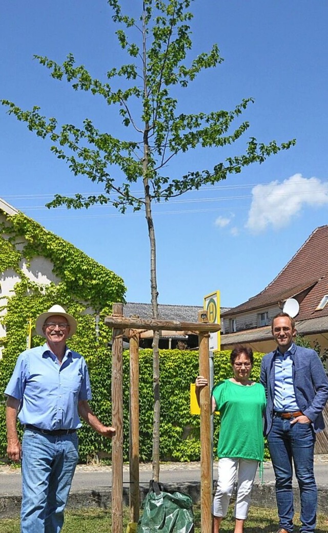 Elly Sexauer spendete einen neuen Baum...sich ber die Aufwertung des Platzes.   | Foto: Sebastian Ehret