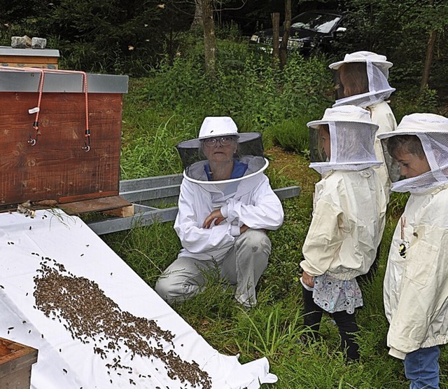 Fleiige Bienen: Der Imkerverein Kandertal ist beim Ferienprogramm mit dabei.   | Foto: Jutta Schtz