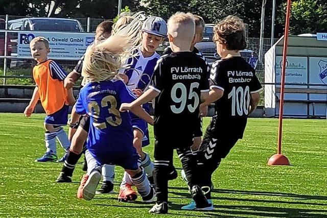 Regio-Turnier des TuS mit 800 Jugendfuballern