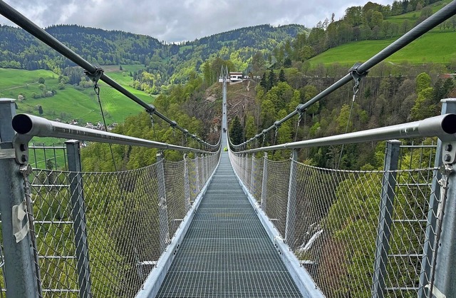 Im  September besuchen die Herbstzeitlosen die Todtnauer Hngebrcke.  | Foto: Sarah Trinler