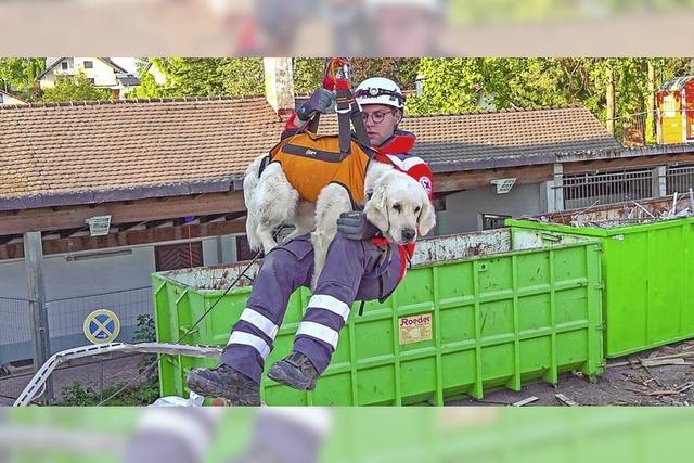Rettungshundestaffel trainiert in Ettenheim