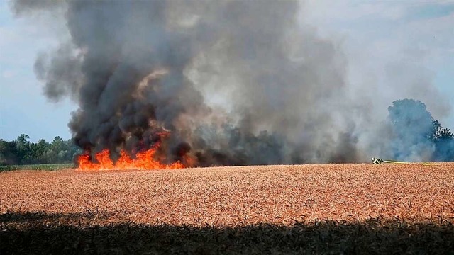 Das brennende Feld bei Ottenheim  | Foto: Wolfgang Knstle