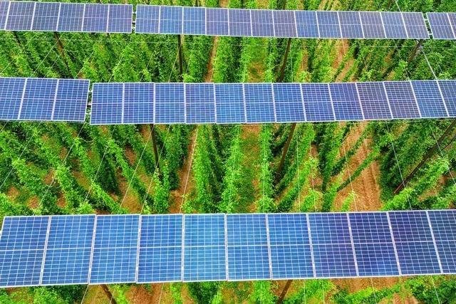 Vorbehalte der Anwohner: Landwirt zieht Bauantrag fr Solarpanels zurck