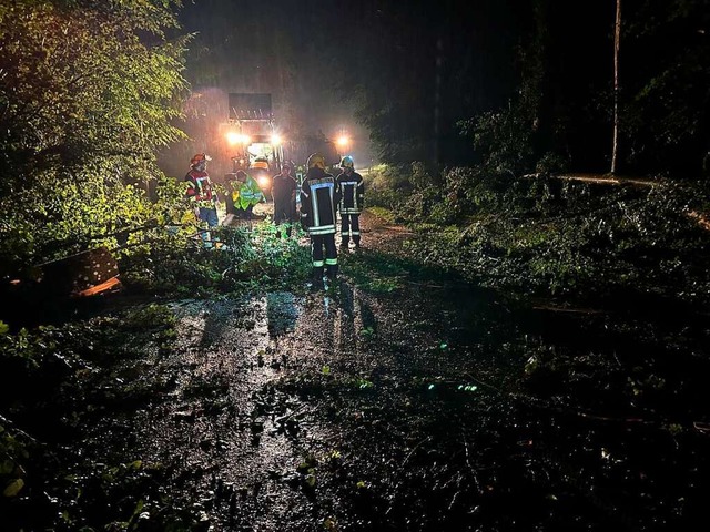 Die Feuerwehr Wittlingen war zwischen Wittlingen und Hagen im Einsatz.  | Foto: Mike Ernst