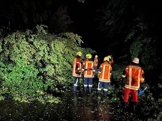 Der weitaus grte Teil der Einstze d...mmendingen betraf Baum- und Astbrche.  | Foto: Landratsamt Emmendingen