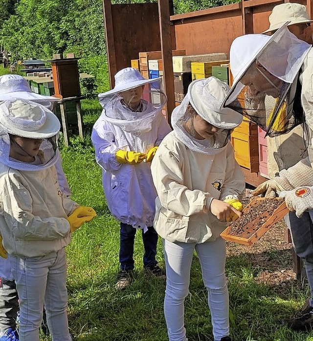 Die Kinder lernen bei Imker Rainer Eiche den richtigen Umgang mit Bienen.  | Foto: Privat